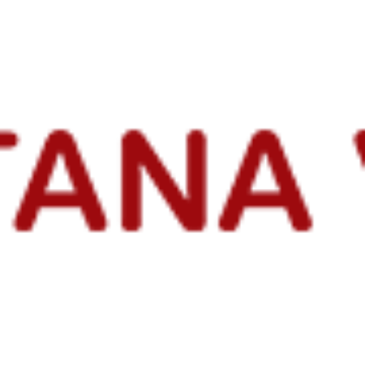 cropped-montanavista-logo.png